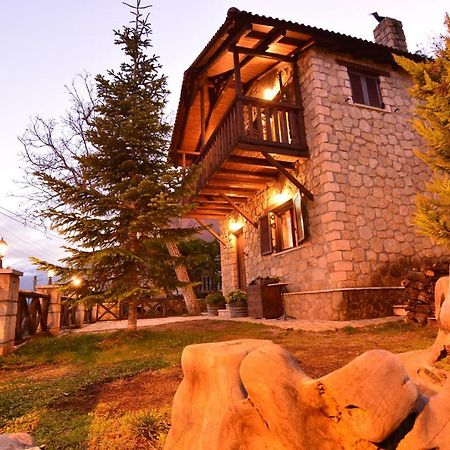 Villa Filanthi à Kato Sinikia Trikalon Extérieur photo
