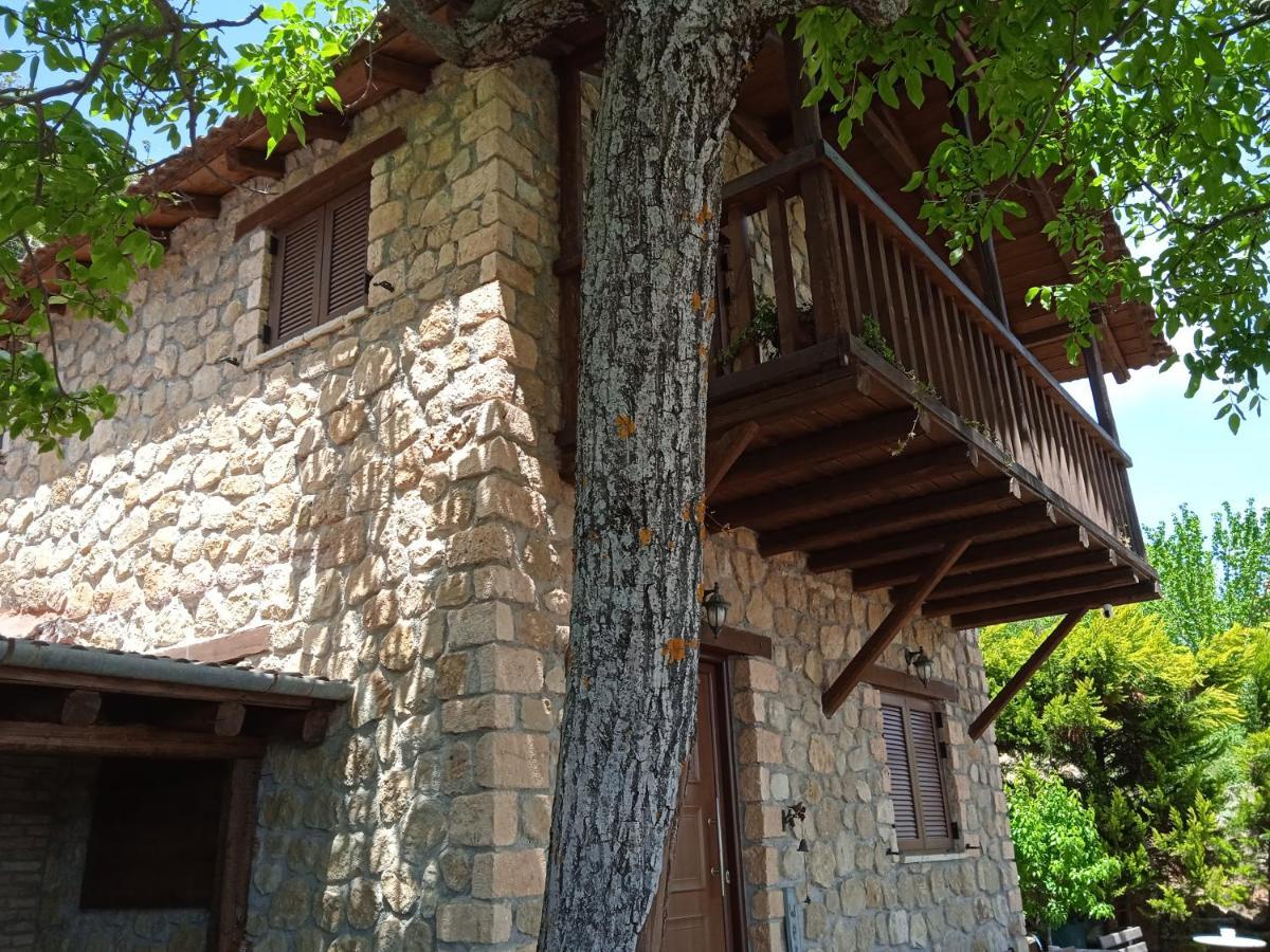 Villa Filanthi à Kato Sinikia Trikalon Extérieur photo