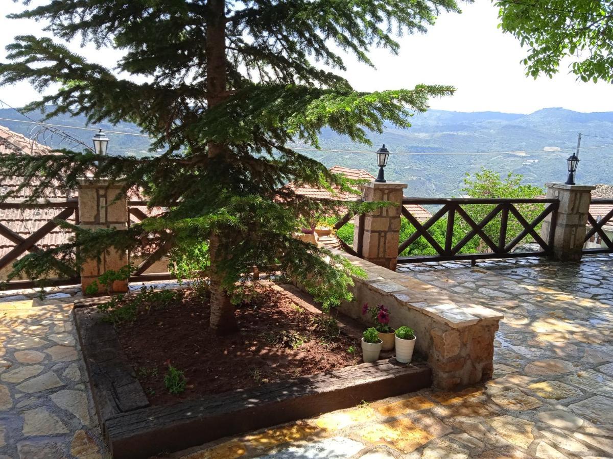 Villa Filanthi à Kato Sinikia Trikalon Extérieur photo