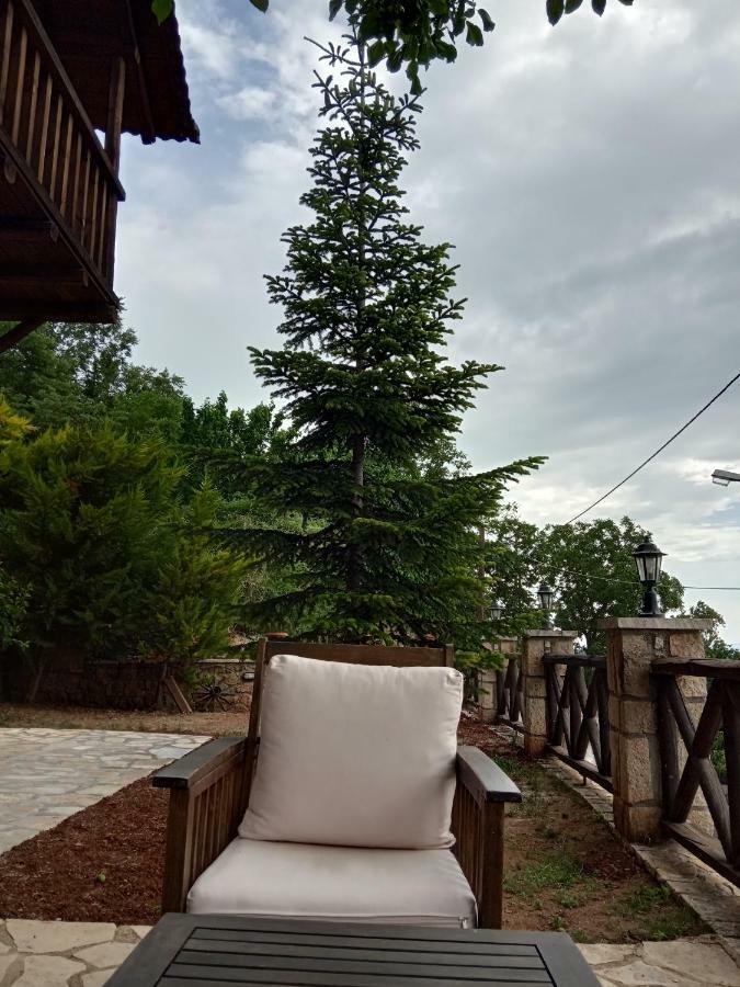 Villa Filanthi à Kato Sinikia Trikalon Extérieur photo