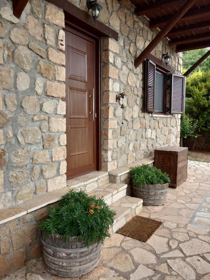 Villa Filanthi à Kato Sinikia Trikalon Extérieur photo