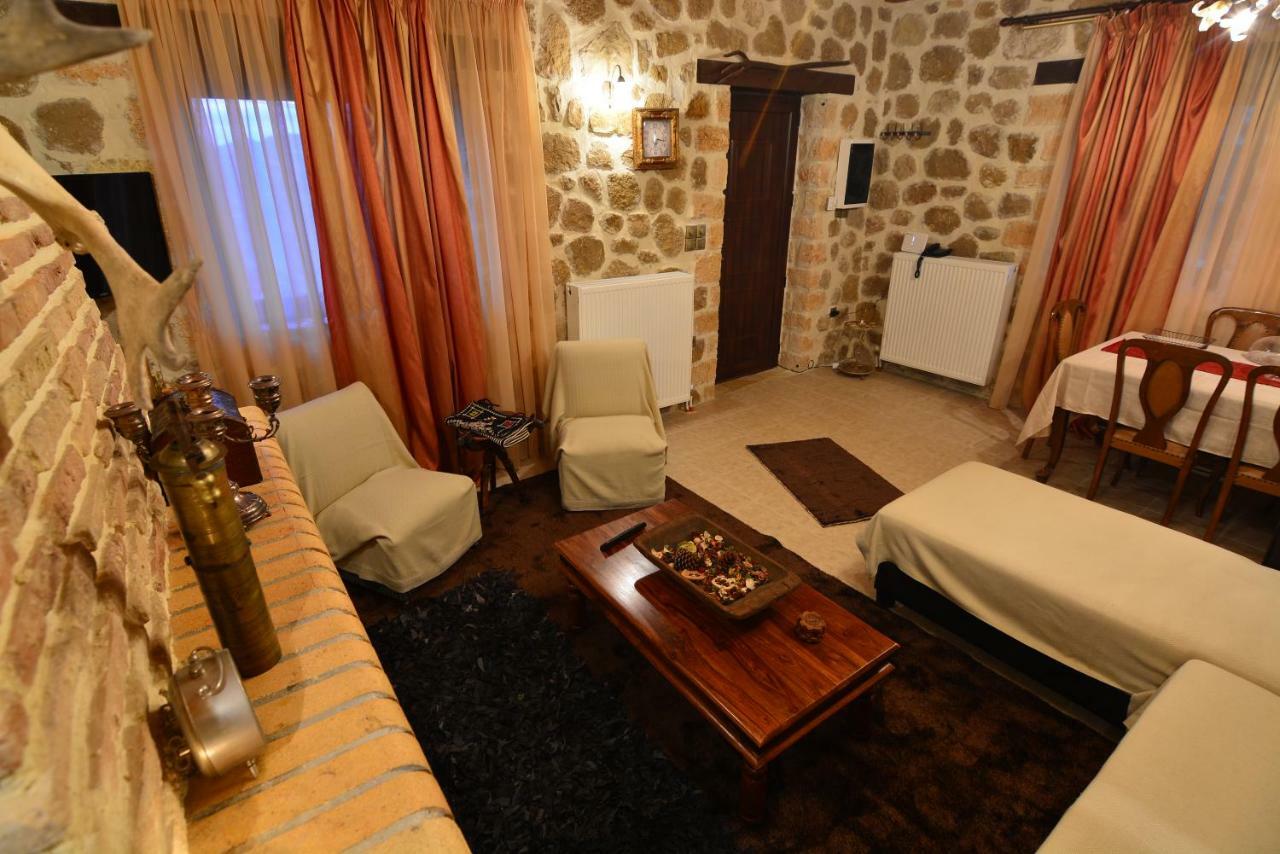 Villa Filanthi à Kato Sinikia Trikalon Extérieur photo