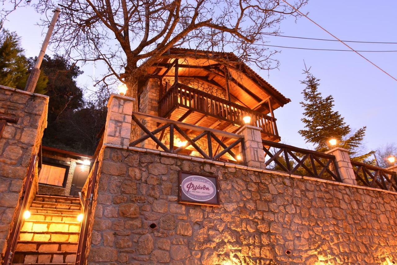 Villa Filanthi à Kato Sinikia Trikalon Extérieur photo