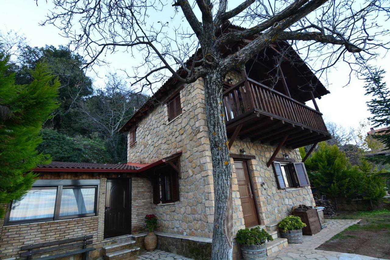 Villa Filanthi à Kato Sinikia Trikalon Extérieur photo