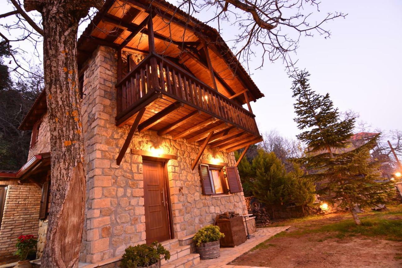 Villa Filanthi à Kato Sinikia Trikalon Extérieur photo