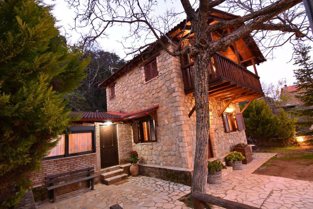 Villa Filanthi à Kato Sinikia Trikalon Extérieur photo
